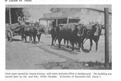 Team--of-Oxen---store-and-post-office