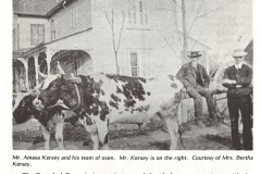 Team-of-Oxen