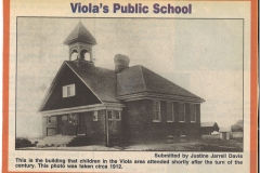 Viola-School